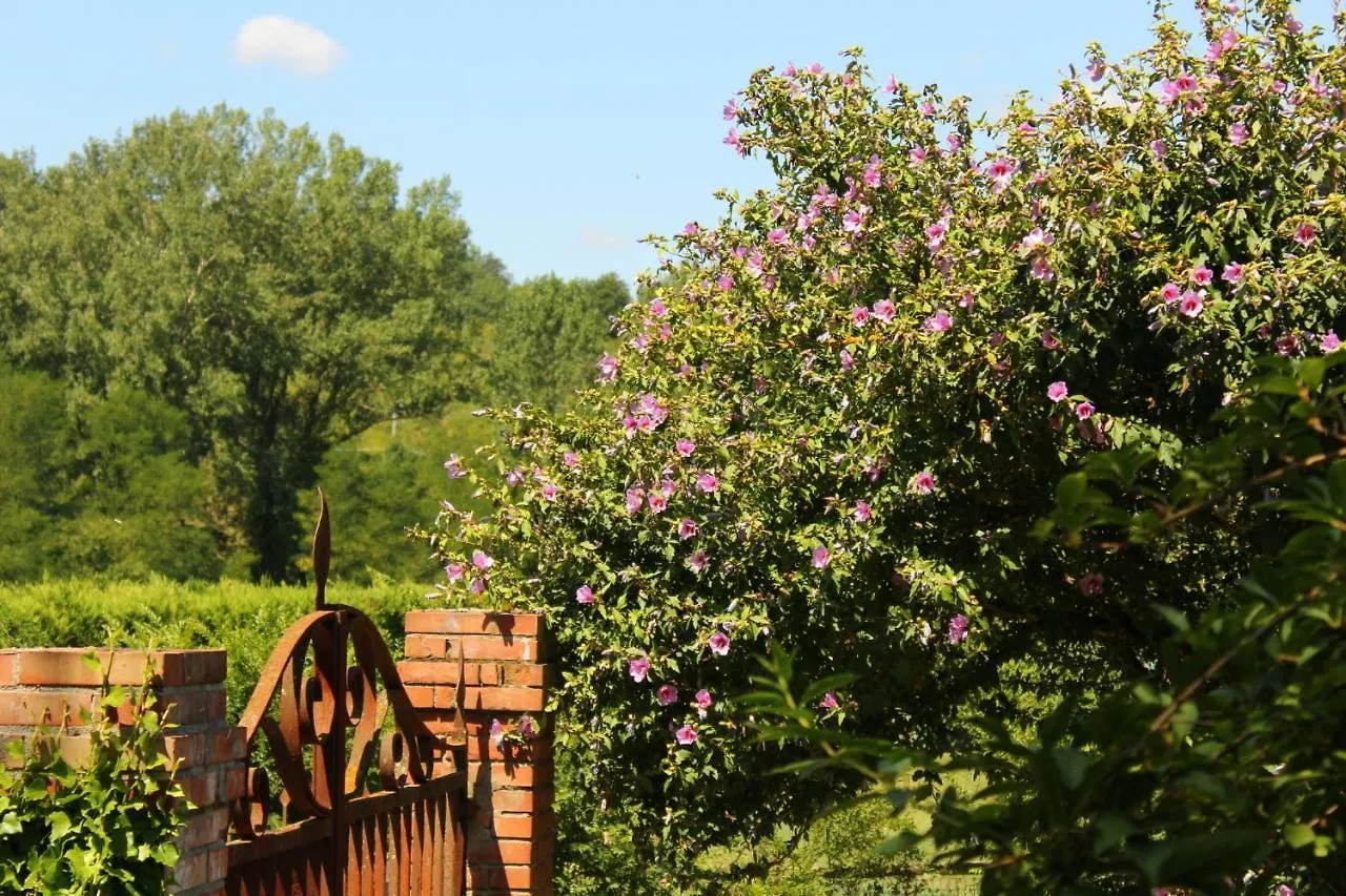 Il Casolare Bed & Breakfast Penna 0*,
