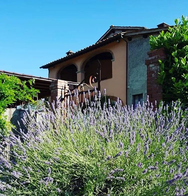 Il Casolare Bed & Breakfast Penna