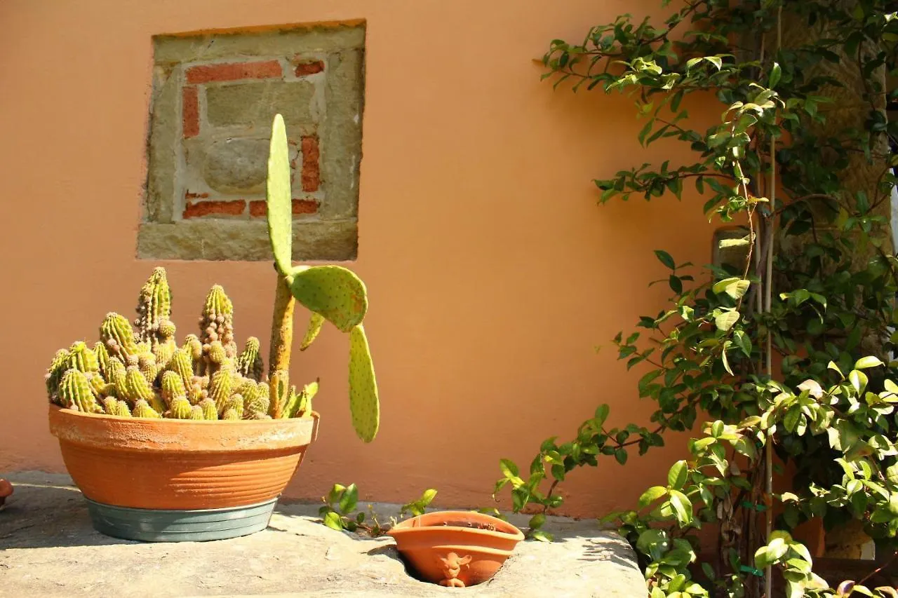 Il Casolare Bed & Breakfast Penna Italy